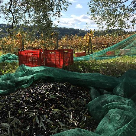 Tenuta Guardastelle - Agriturismo And Vineyard 산지미냐노 외부 사진